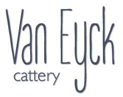 Cattery Van Eyck