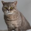 2,5 jaar Matteo niet de meeste stoere man in huis maar hij is zOOO lief.