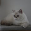 Ze blijft een poppetje, een schatje.