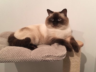 Hij is een SCHAT !! 